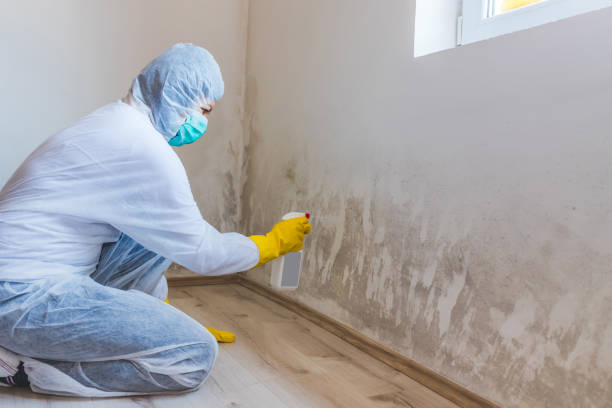 Licensed Bathroom Mold Removal service in Keyport, NJ - 24 Hour Mold Removal