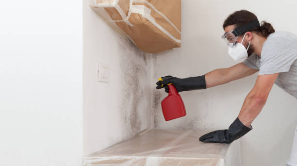 Professional Bathroom Mold Removal technician working in Keyport, NJ