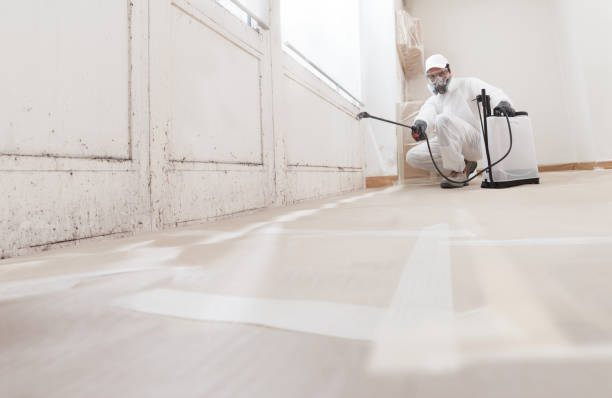 24/7 Emergency Bathroom Mold Removal experts in Keyport, NJ